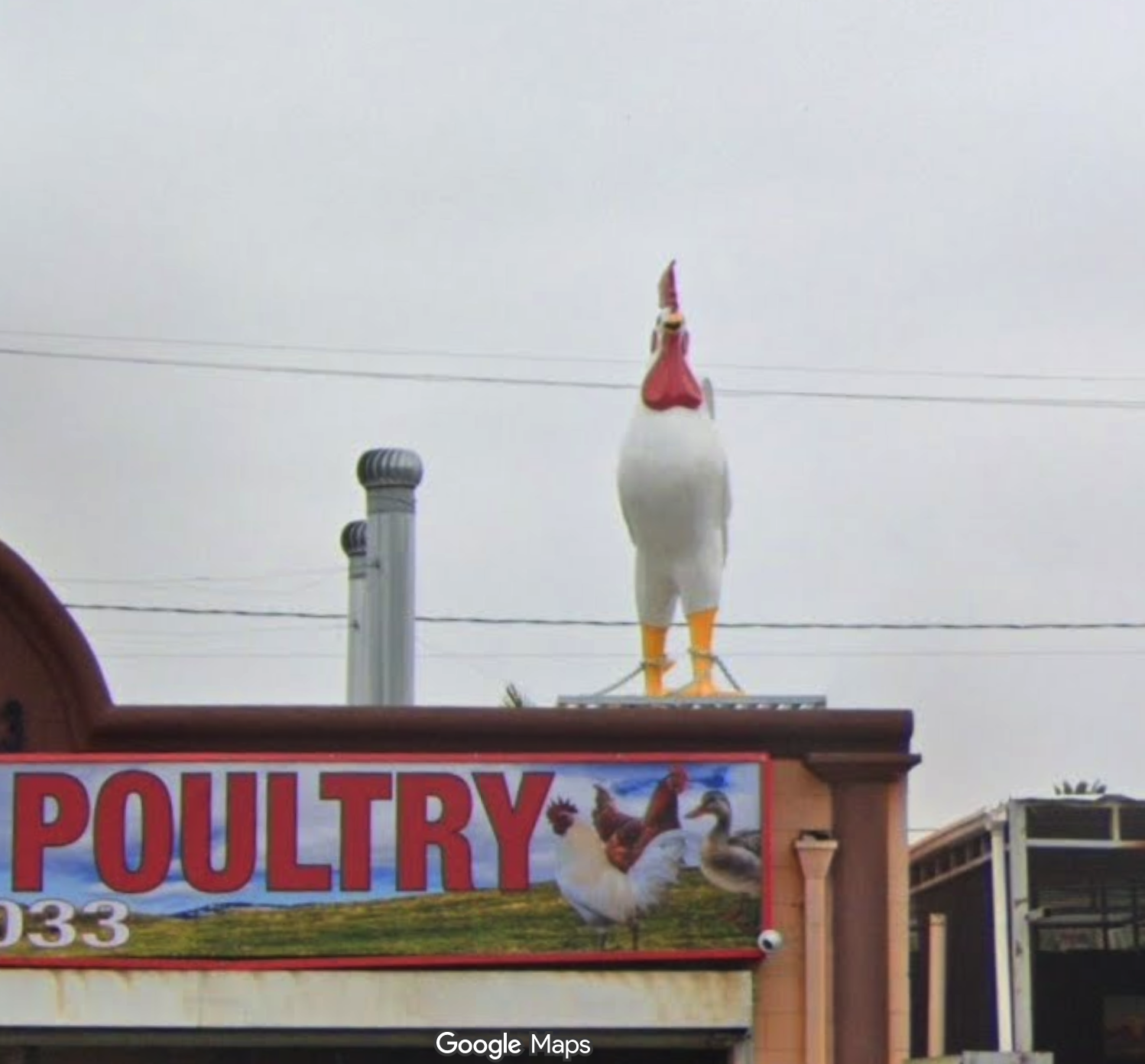 White chicken statue on a roof above a POULTRY sign.
