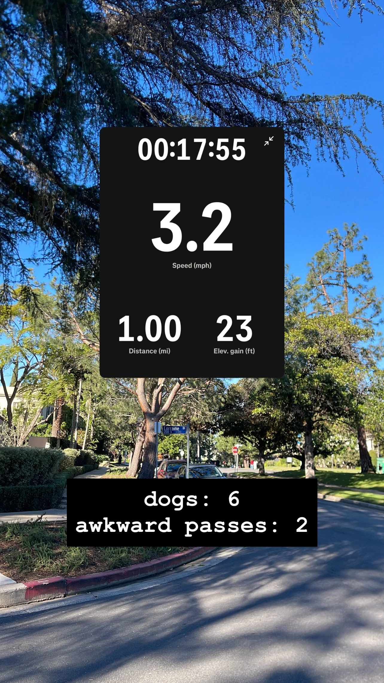 Story screenshot at 00:17:55 — pace 3.2, 1.00 mi, 23 steps. Caption: dogs: 6, awkward passes: 2.