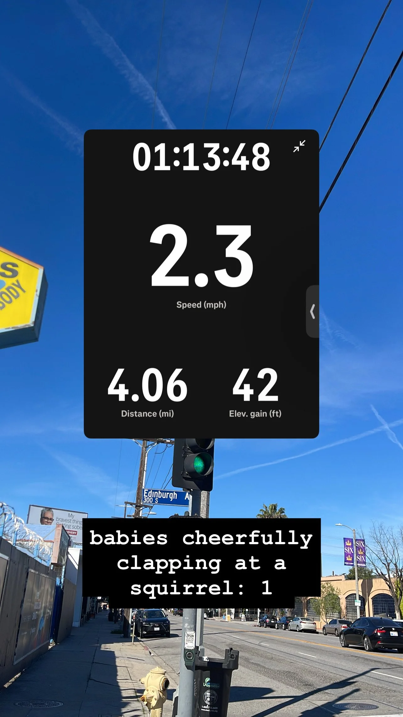 Story screenshot at 01:13:48 — pace 2.3, 4.06 mi, 42 steps. Caption: babies cheerfully clapping at a squirrel: 1.