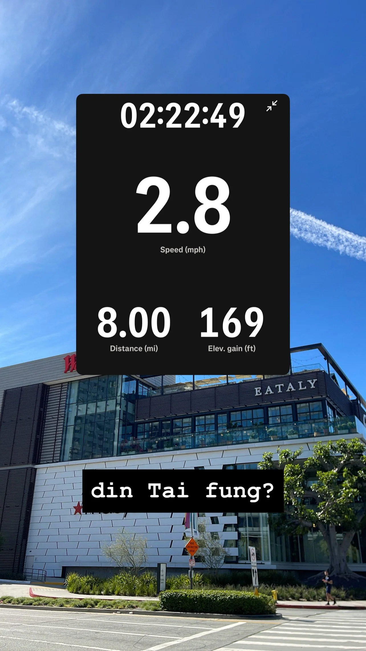 Story screenshot at 02:22:49 — pace 2.8, 8.00 mi, 169 steps. Caption: din tai fung?