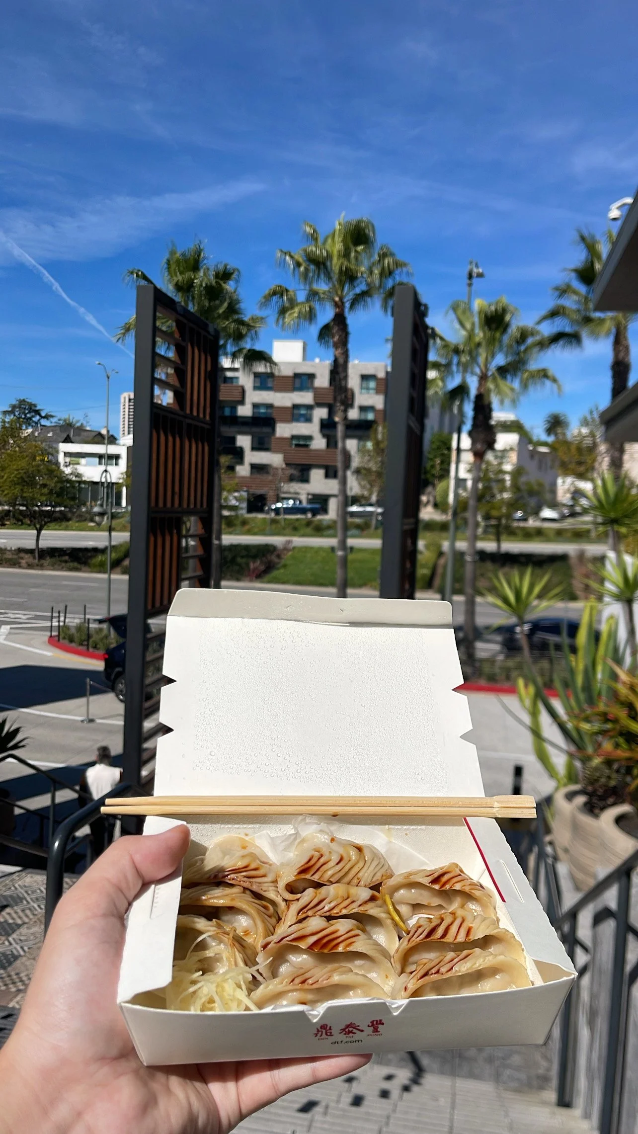 Photo of a takeout container of dumplings held in hand.