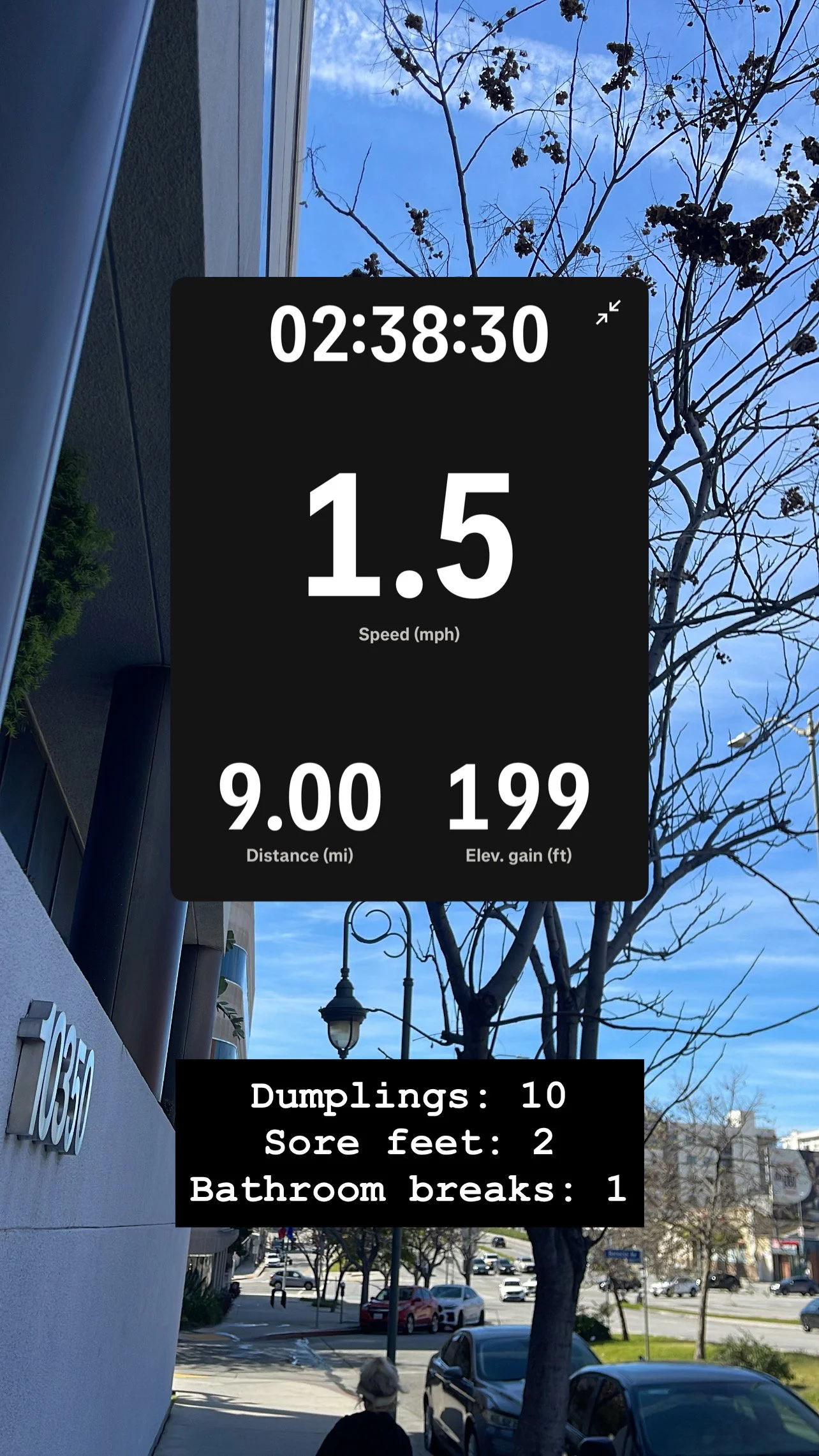Story screenshot at 02:38:30 — pace 1.5, 9.00 mi, 199 steps. Caption: dumplings: 10, sore feet: 2, bathroom breaks: 1.